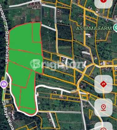 Premium Agribusiness Investment in Bedugul, Bali Premium Agribusiness Investment in Bedugul, Bali