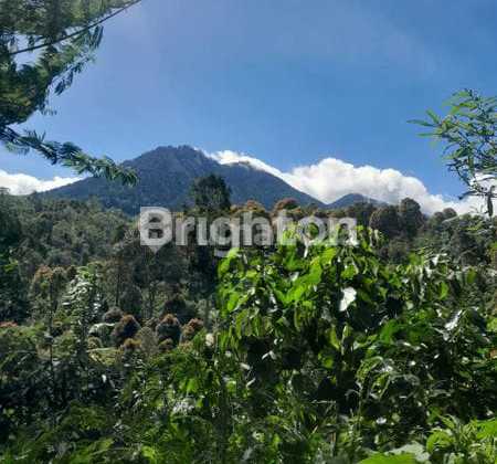 Investasi Emas: Kebun 4Ha View Gunung dan Laut Spektakuler di Gesing Bali