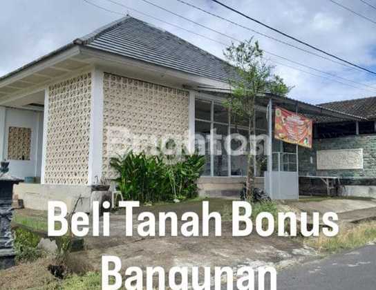 Tanah 1.012 M² Hadiah Rumah - View Lereng Gunung Dekat Jatiluwih Tanah 1.012 M² Hadiah Rumah - View Lereng Gunung Dekat Jatiluwih