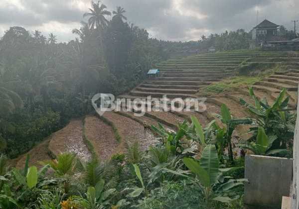 Tanah 1.012 M² Hadiah Rumah - View Lereng Gunung Dekat Jatiluwih Tanah 1.012 M² Hadiah Rumah - View Lereng Gunung Dekat Jatiluwih