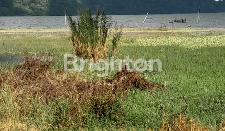 Quick Sale! 42.40 Are with Lake View & Direct Access to Lake Bedugul