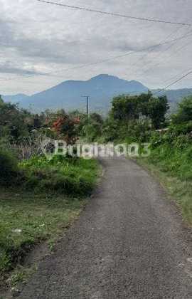 For Sale 9 Hectares of Plantation Land - Mountain and Lake Buyan View For Sale 9 Hectares of Plantation Land - Mountain and Lake Buyan View