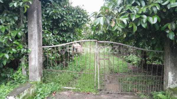 1.5 Hectares of Strategic Land in Tabanan