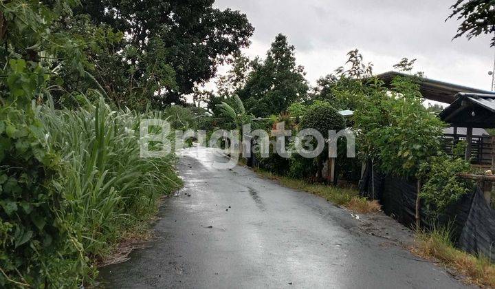 TANAH DEKAT PANTAI SIYUT GIANYAR COCOK UNTUK VILLA  2