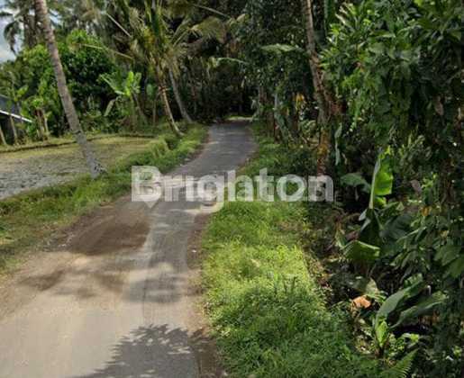 Tanah 31 Are di Bukian, Ubud - Harga Dibawah Pasar