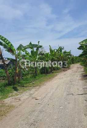 Lahan Eksklusif 17 Are di Babakan Kubu, Canggu