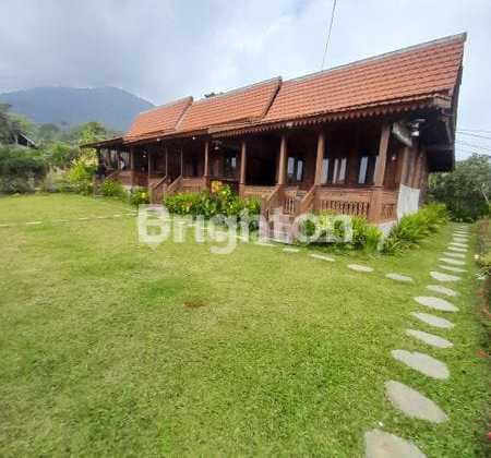 House & Camping Area with Lake Buyan View - Pancasari 16Are House & Camping Area with Lake Buyan View - Pancasari 16Are
