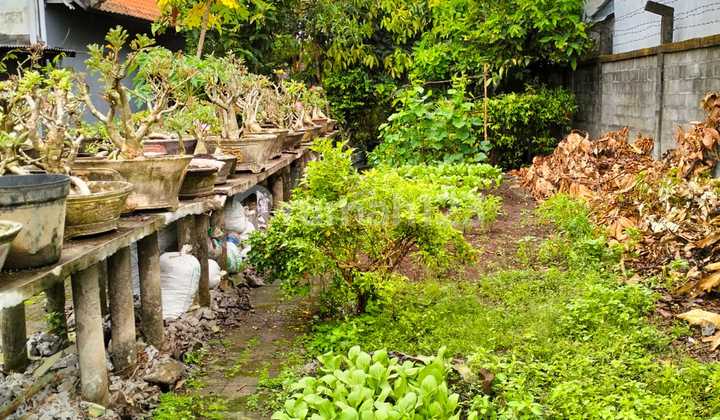 Rumah Dan Ruko Di Jual Lokasi Padangsambian 1