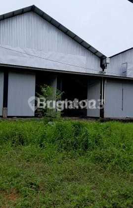 New &amp; Cheap Warehouse for Rent Ida Bagus Mantra 1300 Meters