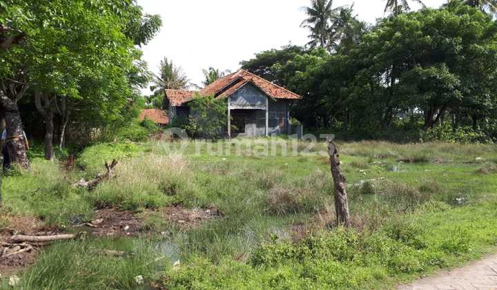 Tanah Untuk Gudang atau Pabrik di Sukadiri, Tangerang - SHM Tanah Untuk Gudang atau Pabrik di Sukadiri, Tangerang - SHM