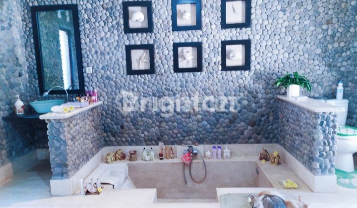 RUMAH MURAH CLASSIC, HALAMAN LUAS DAN ASRI 2