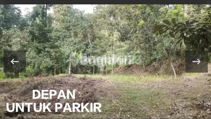 LAHAN PERKEBUNAN AGRO DI WILAYAH BANYUBIRU JAMBU AMBARAWA, 2