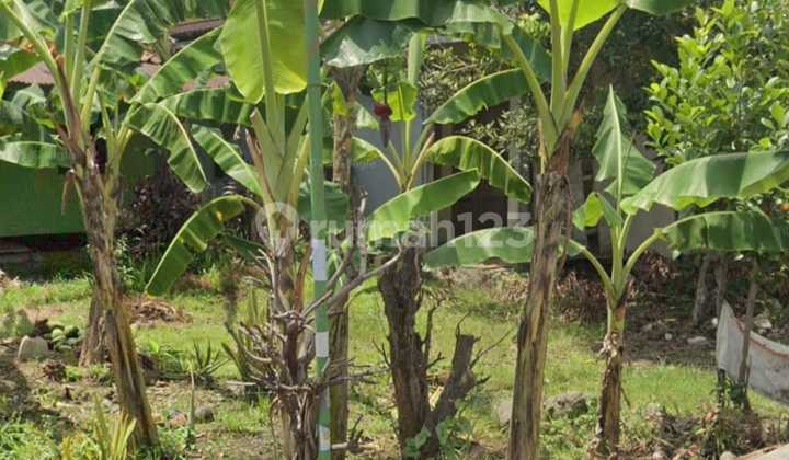 Strategic Land 300M² in Purworejo, Near Station & Market Strategic Land 300M² in Purworejo, Near Station & Market