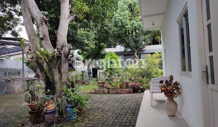 Ruko / Gudang / Rumah Strategis Harga Dibawah NJOP Dekat Majapahit dan Alteri