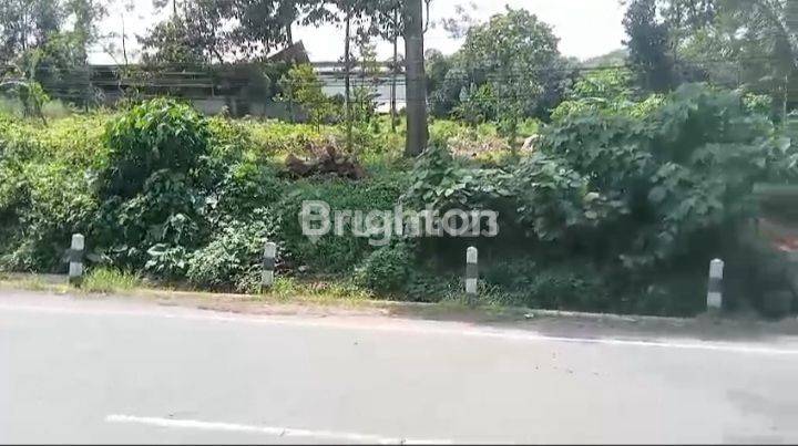 TANAH MURAH & STRATEGIS ZONA INDUSTRI, DI JALAN NASIONAL PANTURA BATANG 1