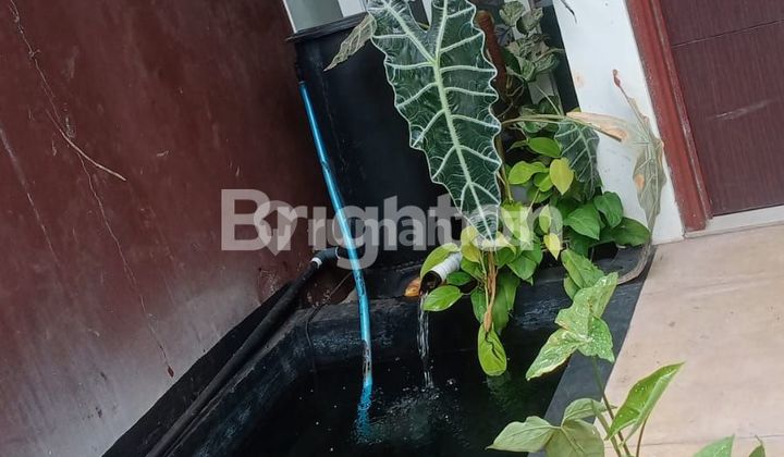 RUMAH 2 LANTAI HANYA SEKEJAB KE KAMPUS UNDIP 2