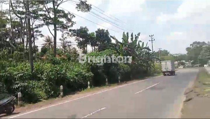 TANAH MURAH & STRATEGIS ZONA INDUSTRI, DI JALAN NASIONAL PANTURA BATANG 2