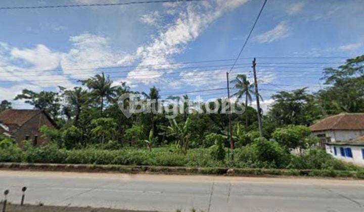 CHEAP LAND IN INDUSTRIAL ZONE ALONG NATIONAL ROAD, NEAR WELERI TOLL EXIT AND BATANG TOLL. CHEAP LAND IN INDUSTRIAL ZONE ALONG NATIONAL ROAD, NEAR WELERI TOLL EXIT AND BATANG TOLL.