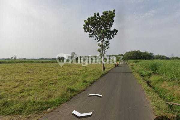 Tanah Strategis, Siap Bangun di Kudus Jual Tanah Karangbener, Bae - Kabupaten Kudus LT 35000 Tanah Strategis, Siap Bangun di Kudus Jual Tanah Karangbener, Bae - Kabupaten Kudus LT 35000