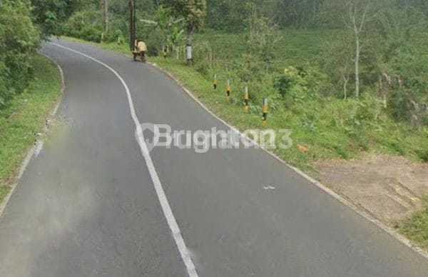 Tanah Perkebunan 100 - 320 Hektar di Temanggung
