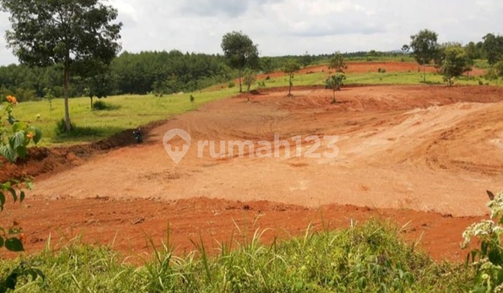 Quick Sale: 3.8 Hectare Chicken Farm Land in Sukabumi, West Java Quick Sale: 3.8 Hectare Chicken Farm Land in Sukabumi, West Java