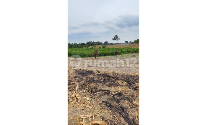 Tanah Kosong Murah di Pematang Siantar Marimbun Tanah Kosong Murah di Pematang Siantar Marimbun