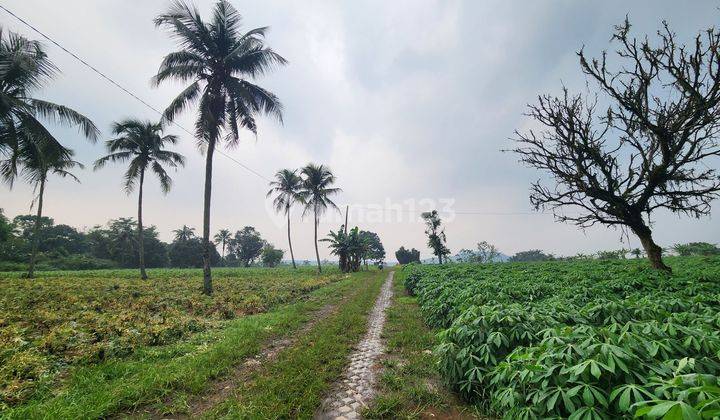 Tanahmurah di Rumah kebon parung hijau kemang bogor  2