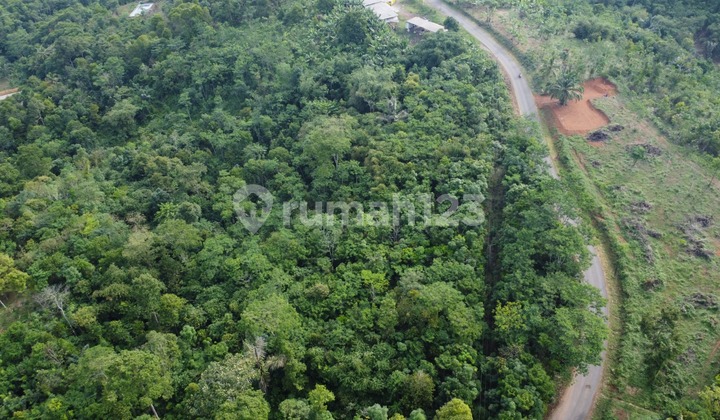 Tanah 2 Ha Murah di Gunung Kencana, Lebak, Banten