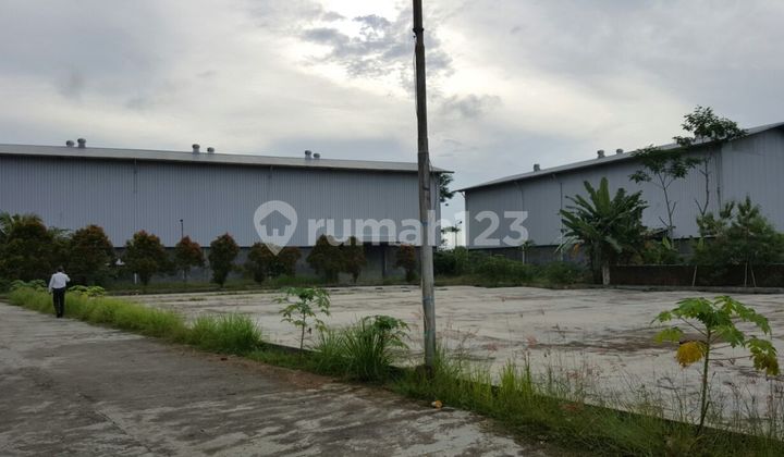 Cheap Warehouse in Teluk Lada, Panimbang, Pandegelang, Banten Cheap Warehouse in Teluk Lada, Panimbang, Pandegelang, Banten