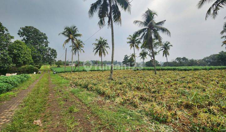 Tanah murah di Rumah kebon parung hijau kemang bogor  cocok.villa 2