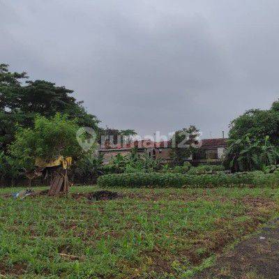 Tanah untuk cluster perumahan belakang perum pakuan regency balumbang jaya bogor 1