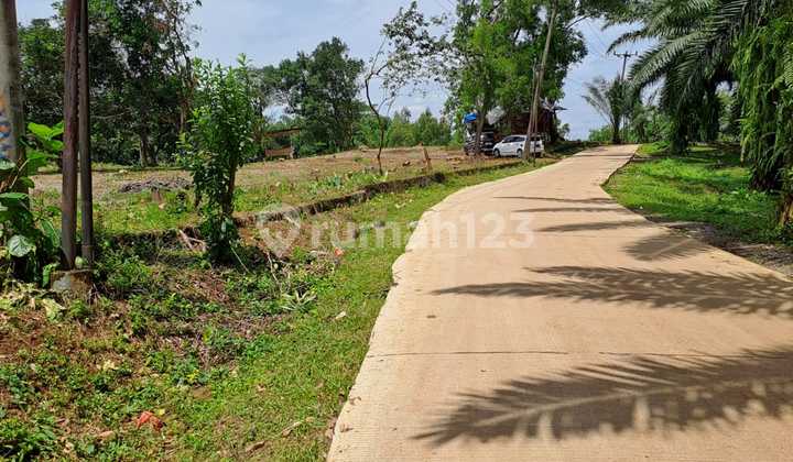Dijual Tanah Komersial Lingkungan Asri, Siap Dibangun Di Donda Mlati Hill, Singasari, Jonggol Kab Bogor Dijual Tanah Komersial Lingkungan Asri, Siap Dibangun Di Donda Mlati Hill, Singasari, Jonggol Kab Bogor