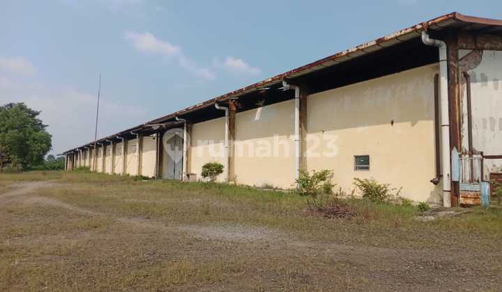 Warehouse For Rent Ready-to-Use Industrial Zone In East Karawang