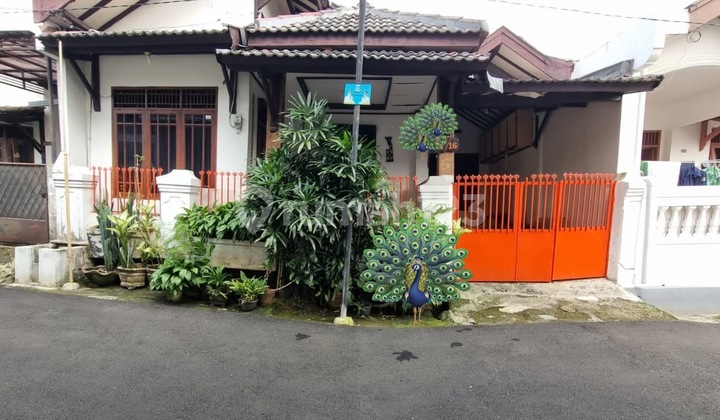 Rumah Siap Huni Pamulang Reni Jaya 138 M2 SHM Bagus