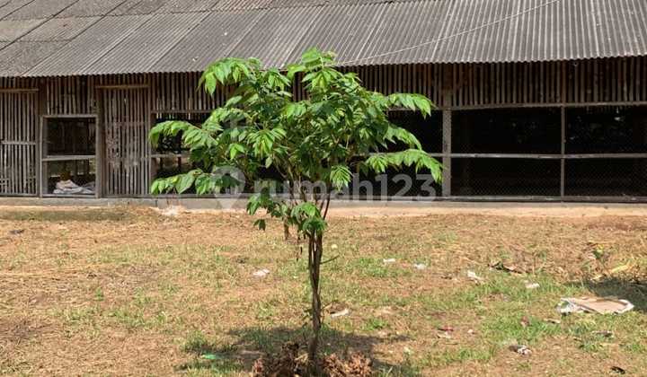 Tanah Ciseeng Bulaksaga Parung Bogor 1.2 Ha SHM