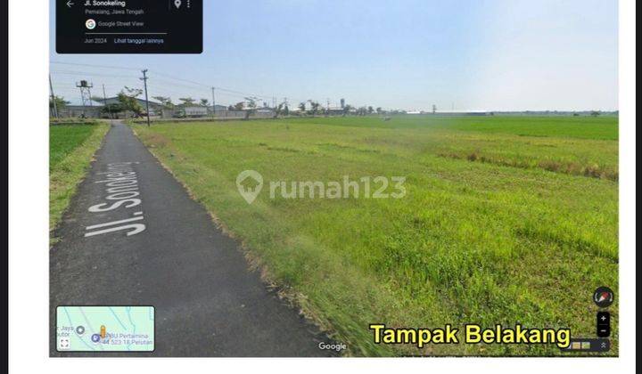 Tanah Di Pemalang.jawa Tengah Desa Pelutan 10.0 ha SHM 2