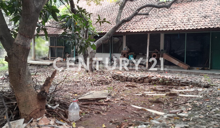 Tanah Dekat Sekolah Di Jalan Rambutan Pondok Kelapa S7575 Tanah Dekat Sekolah Di Jalan Rambutan Pondok Kelapa S7575