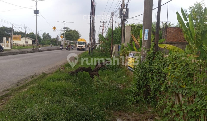 Tanah Cocok Untuk Usaha Dekat Jalan Raya Di Klari S9204 Tanah Cocok Untuk Usaha Dekat Jalan Raya Di Klari S9204