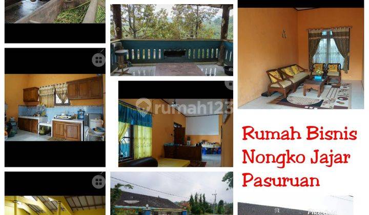 Dijual Peternakan Sapi + Rumah Villa 1