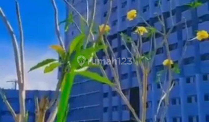 Unit Apartemen Sangat Nyaman Di Begawan Tlogomas Malang Nj215  2