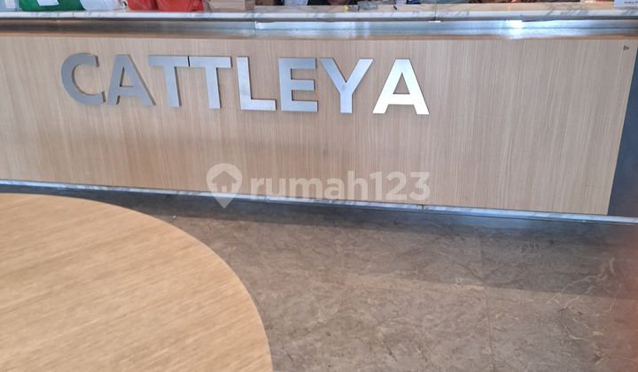 Serpong Garden Cisauk Studio Apartment