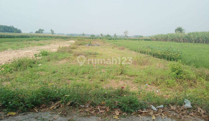 Dijual h lokasi strategis bisa diangsur DP mulai 1 jt di Jl. Dlanggu gg 2, Mojokerto Tanah 2