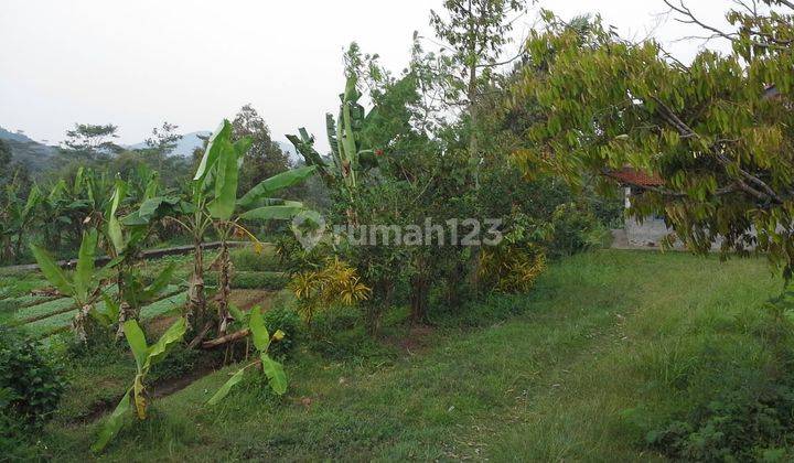 Dijual Tanah di Cibungbulang dengan Bangunan, Gudang, 7 Kolam Ikan, Kolam Renang 11 m2 (nego) 1