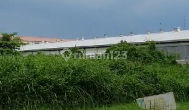 Tanah cikarang . Jalan angsana dan jalan akasia Tanah cikarang . Jalan angsana dan jalan akasia