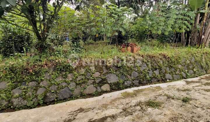 For Sale Build-Ready Plot with SHM, 693 M2 Area, Near Pusaka Nambo Residence Housing in Ciapus Bogor. For Sale Build-Ready Plot with SHM, 693 M2 Area, Near Pusaka Nambo Residence Housing in Ciapus Bogor.