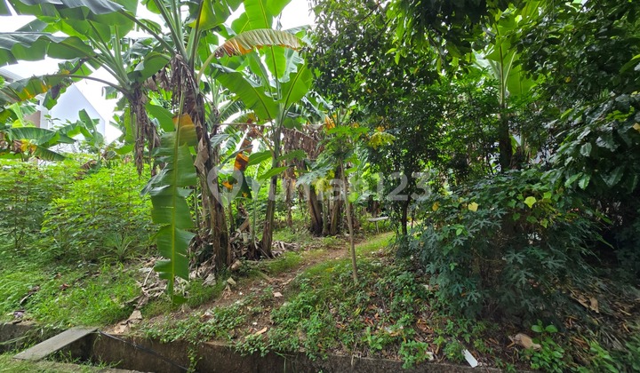 Dijual Cepat Kavling Pantai Indah Kapuk