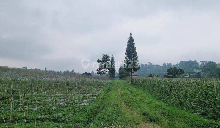 Tanah Produktif 5 Ha SHM Cocok Untuk Farmhouse Di Cikalong 1