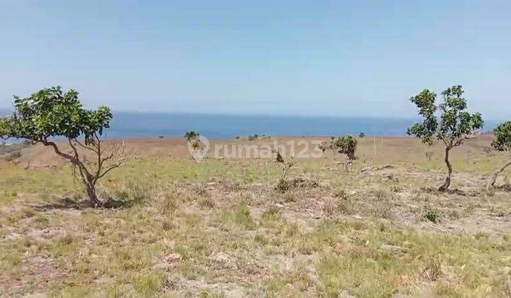 Jual tanah ocean view benteng dewa labuan bajo manggarai Ntt 1