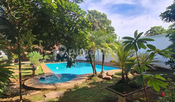 Rumah Estetik Lux Ada Kolam Renang Di Tanjung Karang Timur Rumah Estetik Lux Ada Kolam Renang Di Tanjung Karang Timur