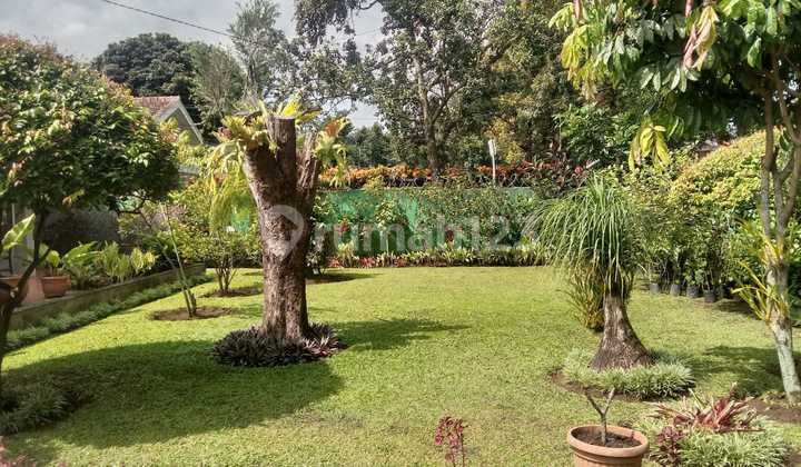 Dijual Rumah Asri Besar Lokasi Strategis Di Ciumbuleuit